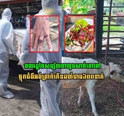 ក្តៅៗ! ពលរដ្ឋថៃដែលសង្ស័យថាហូបសាច់គោផ្ទុកជំងឺ​អង់ត្រាក់កើនដល់ជាង៦០០នាក់