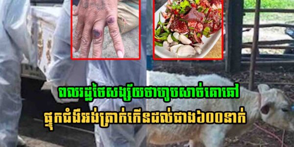 ក្តៅៗ! ពលរដ្ឋថៃដែលសង្ស័យថាហូបសាច់គោផ្ទុកជំងឺ​អង់ត្រាក់កើនដល់ជាង៦០០នាក់